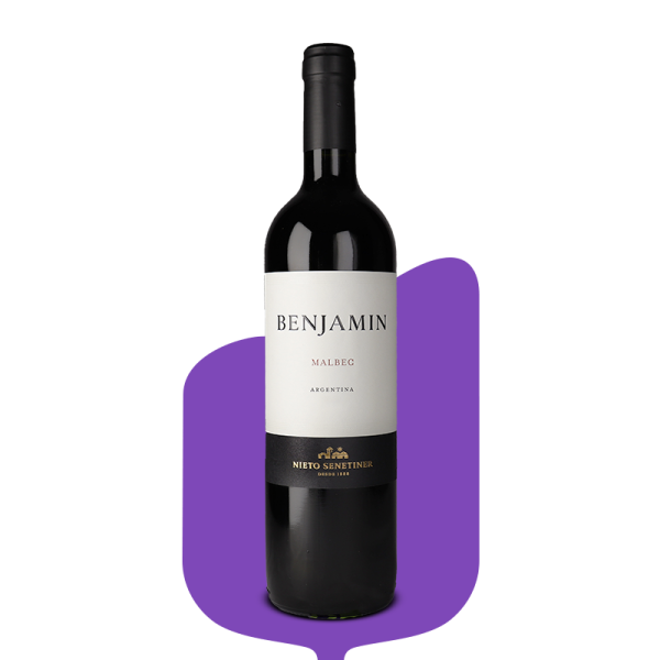 Benjamín Nieto Senetiner Malbec 2021