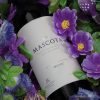 La Mascota Malbec SETIEMBRE