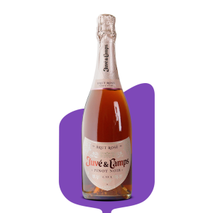 Cava Juvé & Camps Brut Pinot Noir